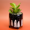 Potted plant in a black pot with ghost designs on an orange background