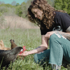 Chicken Keeping 101
