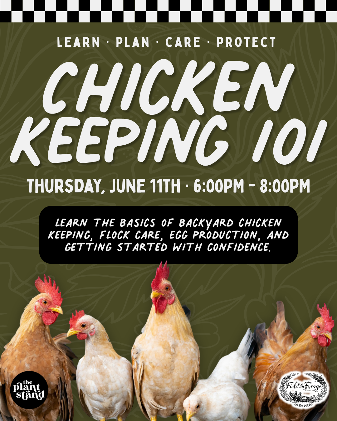 Promotional flyer for a chicken keeping class with chickens on a green background