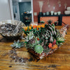 Succulent Cornucopia Centerpiece