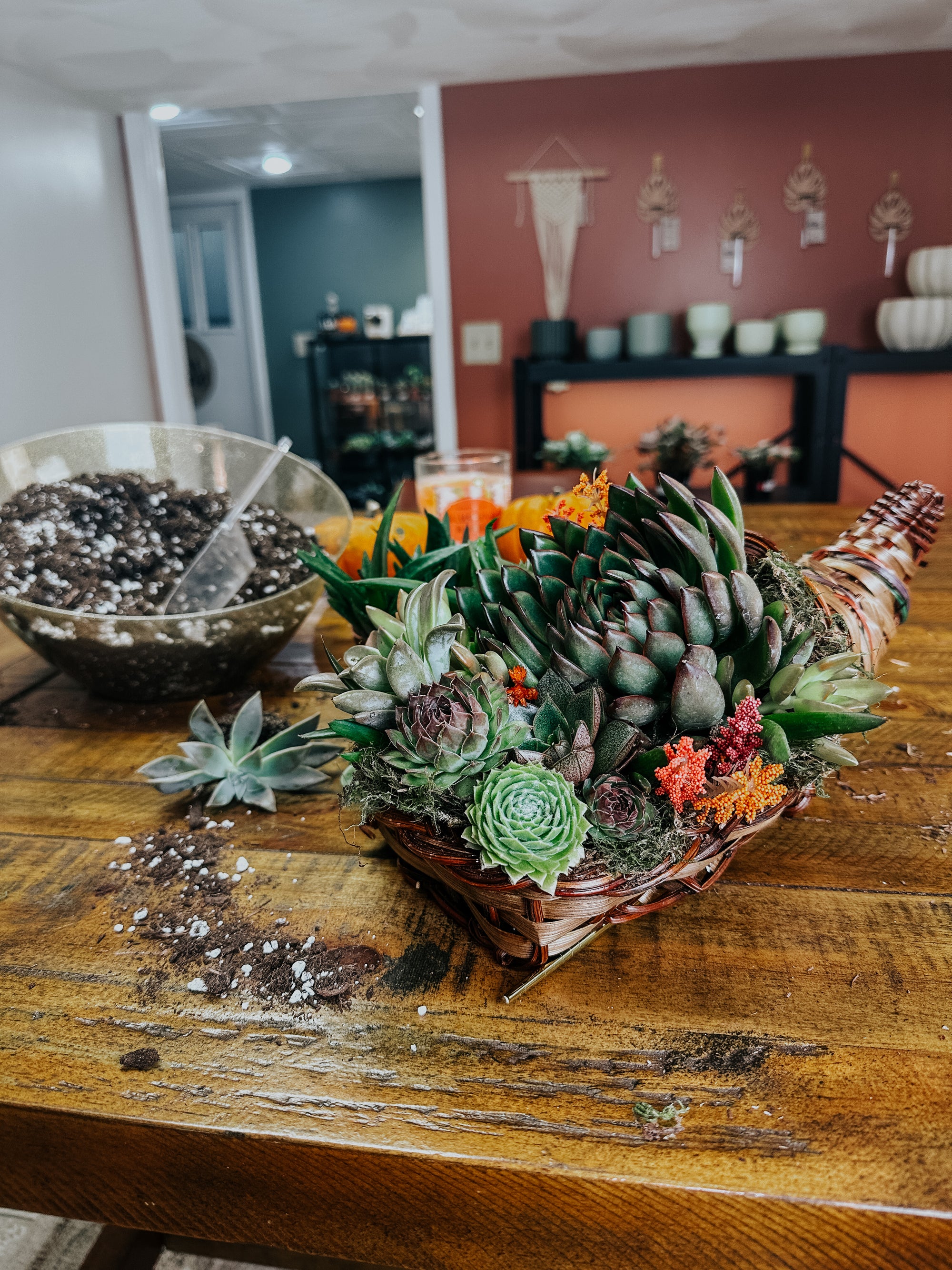 Succulent Cornucopia Centerpiece