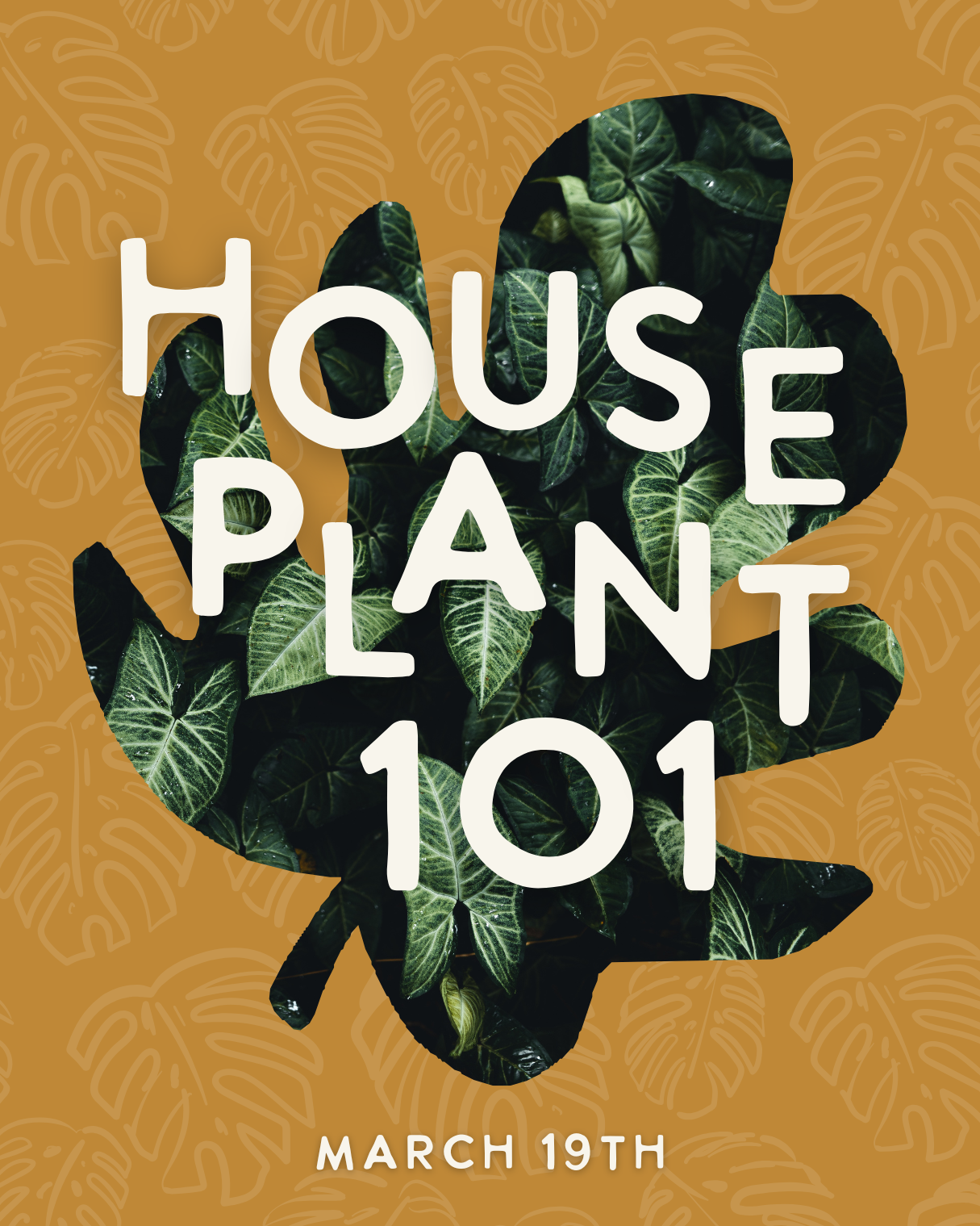 Houseplants 101